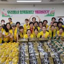 바라기 전주매일신문