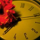 향기마을 이미지