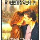 세렌디피티 이미지