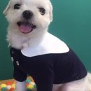 아베크슈