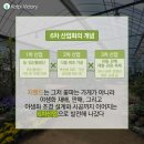 지랜드 이미지