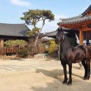 서삼릉길 이미지