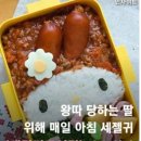 왕따 당하는 딸을 위해 엄마가 싸준 도시락 이미지