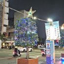 중앙장식 | 가오슝 가볼만한 곳 중앙공원의 밤과 낮(크리스마스 장식, 카피바라)