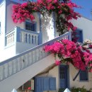 산토리니 이미지