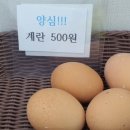 낭만국수 이미지
