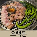 대전 둔산동 맛집 오백돈 육즙 터지는 고기집 들기름막국수, 쫄면, 청국장 후기