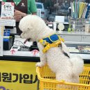 펫마트부산 - 부산진구 백양대로 237 | 해운대 펫마트 반려동물용품 최대규모점 다녀온 후기