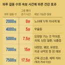 속보(빨리걷기)와 운동효과 이미지