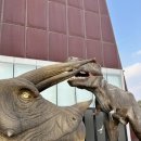 7,377 | [남양주 볼거리] 미호 박물관, 돌 전후 아기랑 가도 괜찮을까?(공룡 솔직 후기)