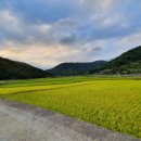 시락마을회관 이미지