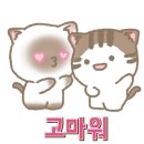 BK카크리닉 이미지