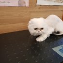 전주중산초등학교 이미지