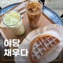 야당역 3번출구 | 야당역 카페 추천 '채우다' 도톰한 오리지널 와플 맛집 솔직후기
