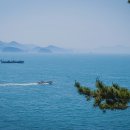 통영사랑약국 이미지