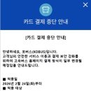 티머니포항버스