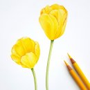 그림으로 만나는 힐링 보테니컬 아트 이미지