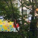 변산 모항 솔향 이미지