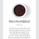 레드빈 이미지