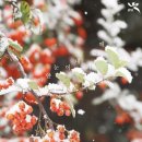 용봉동 용흥어린이공원 이미지