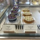 [성수] 발렁스(웨이팅/피스타시에 후기)