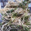 인근농장 이미지