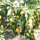 민경민박 이미지