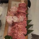 아기애견 이미지