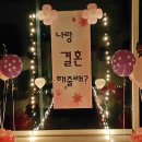 셀비아 이미지