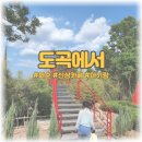 도곡보건지소 | [화순 카페 아기랑] 도곡에서 / 넓은잔디정원 / 뻥뷰카페