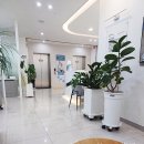 경대본치과의원 이미지