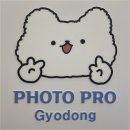 데일리 코인노래연습장 이미지