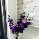 씨앤휴펜션 | 거제도 씨앤휴 펜션 후기/거제도 펜션/거제도 커플펜션