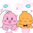 배부리