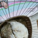 모정농장 이미지