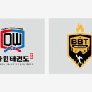 다윈태권도 이미지