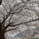 덕곡면사무소 이미지