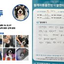 웰케어 동물건강검진센터·동물한방재활센터 이미지