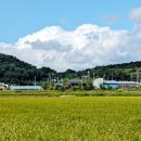 대안4리마을회관 | 가을에 걸으면 더 좋을 서해랑길 85코스