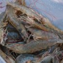 부엉이민박 이미지