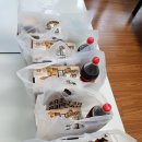 용인대박사백호태권도