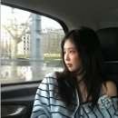 이트헤어 이미지