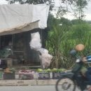 휴일의 아침 이미지