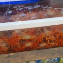 홍게랑 | 속초 중앙시장 홍게 맛집 수율 좋은 속초홍게무한리필홍게랑 2인 후기