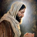 누나홀닭 운양점 이미지