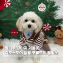 옷길