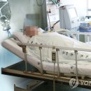 연명