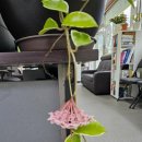 성광공인중개사사무소 이미지