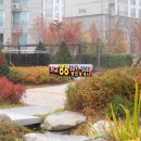 판교이지공인중개사사무소 이미지