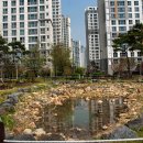 고운뜰길 이미지